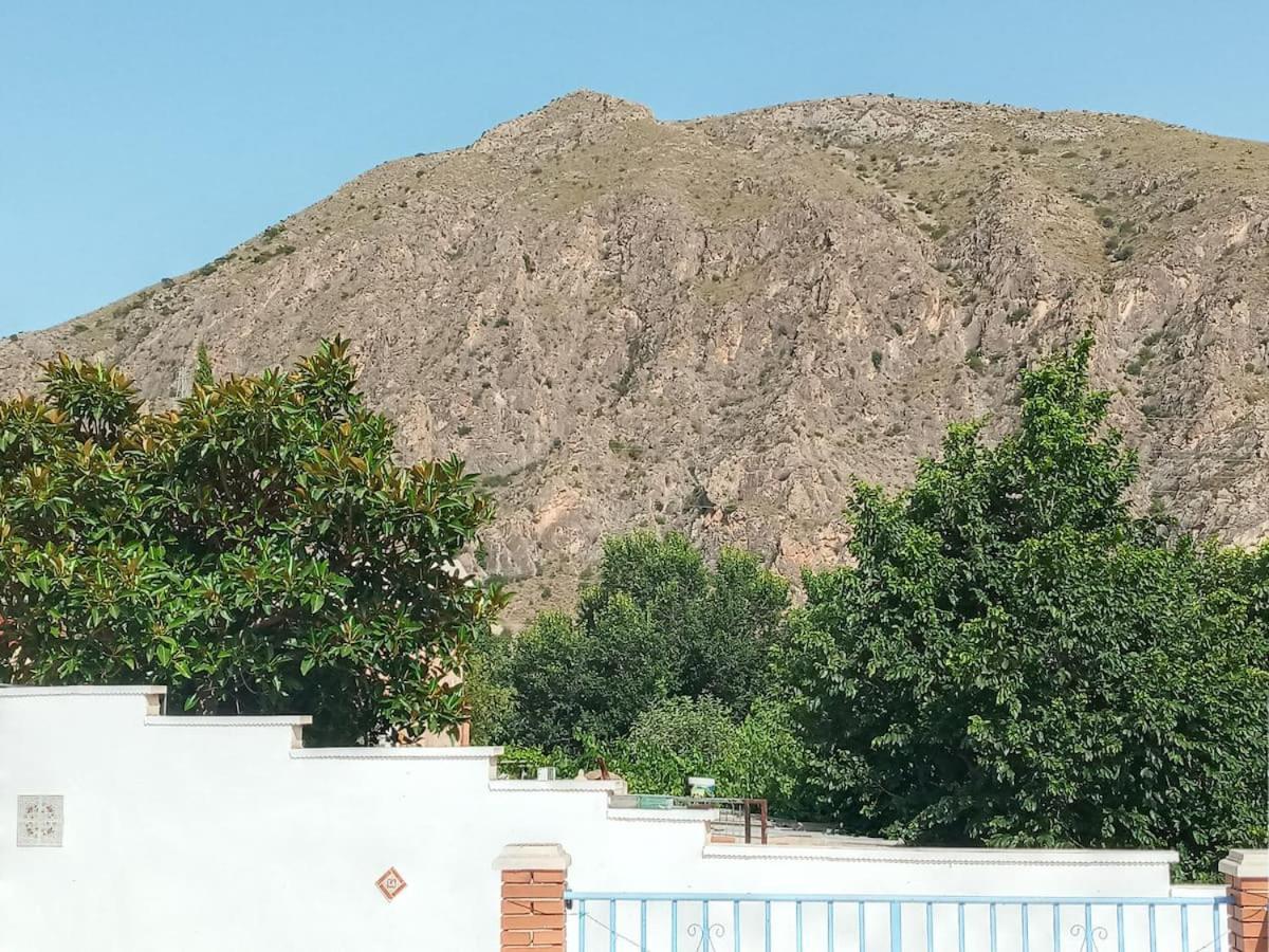 Recovery Mountain Homestay — Photos 3